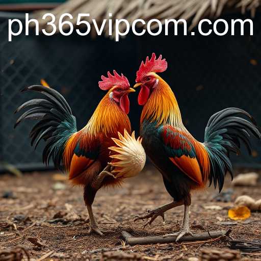 PH365 VIP